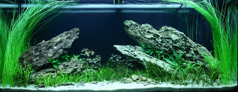 Layout 82 (180 L)