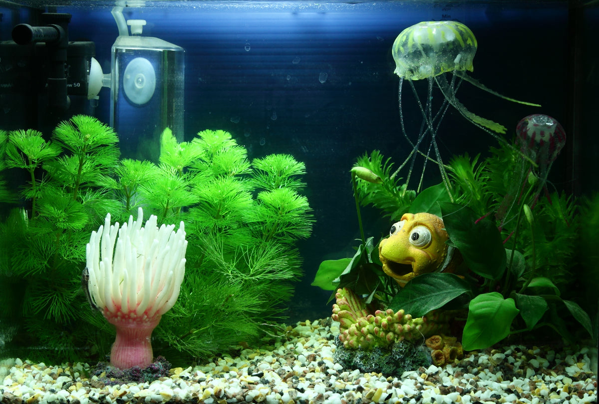 Layout 88 (20 L)