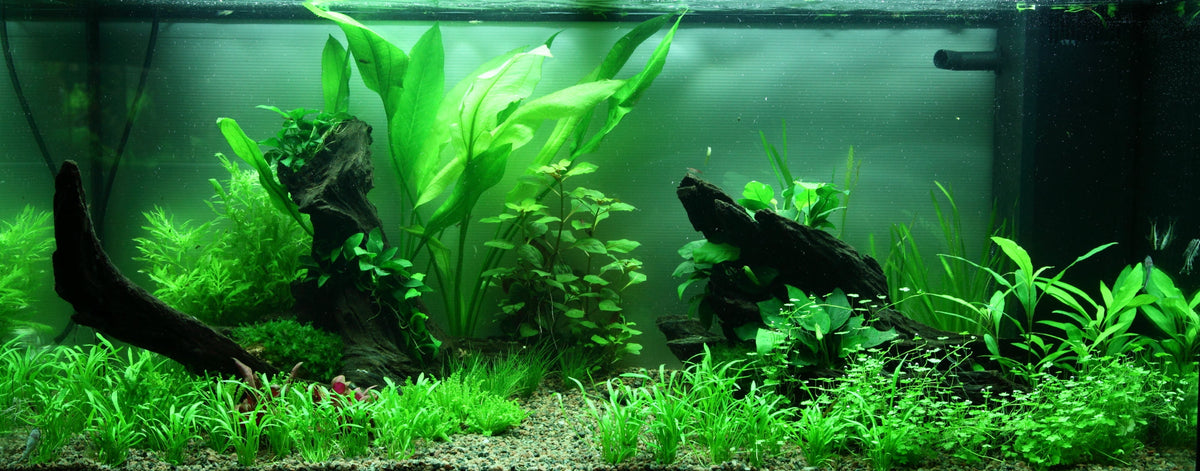 Layout 89 (180 L)