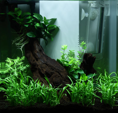 Layout 92 (15 L)