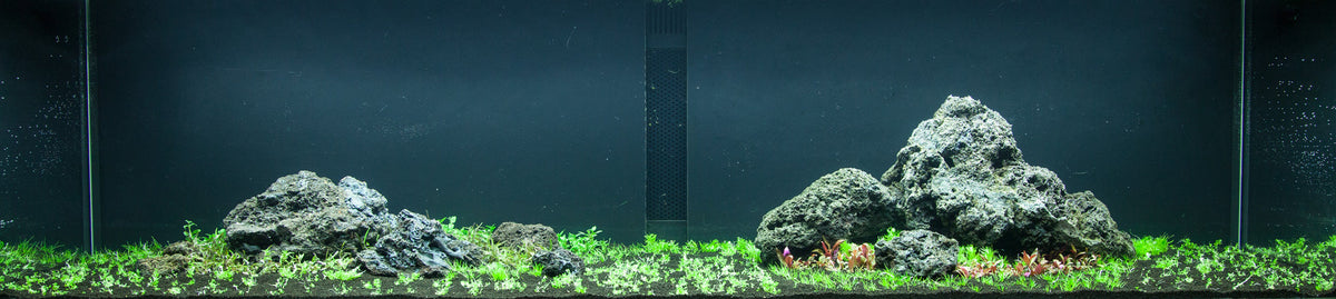 Layout 94 (270 L)