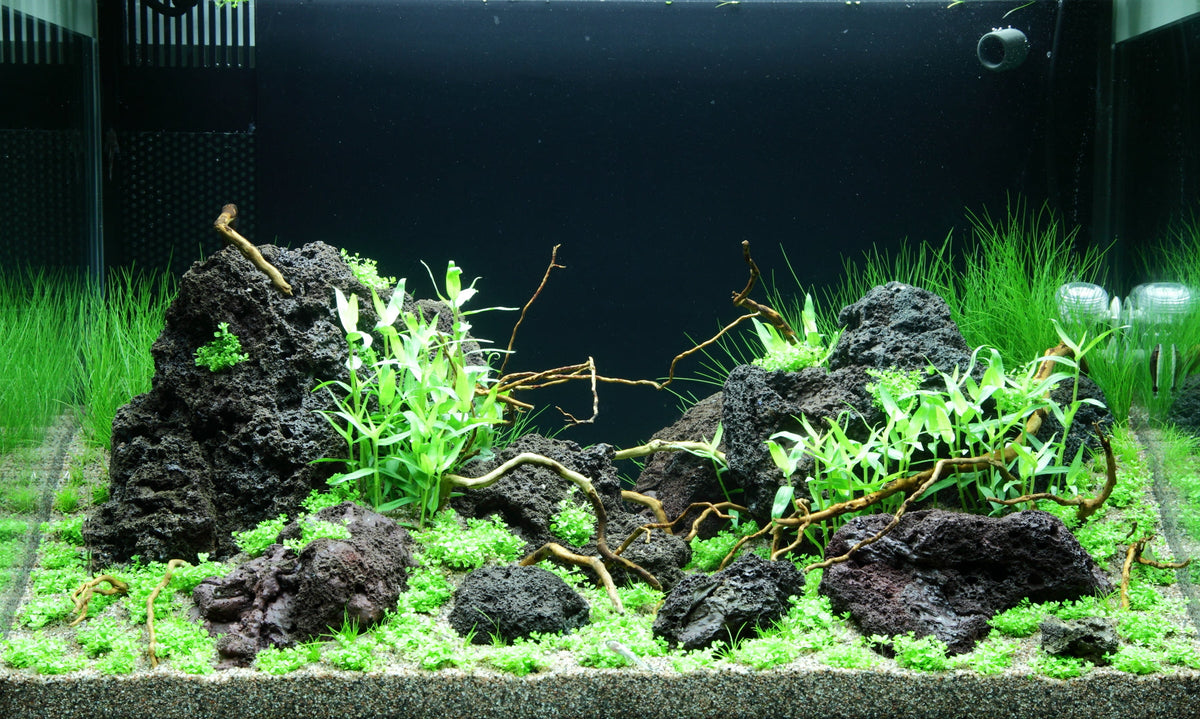 Layout 99 (100 L)