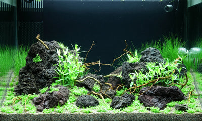 Layout 99 (100 L)