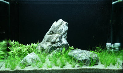 Layout 100 (100 L)