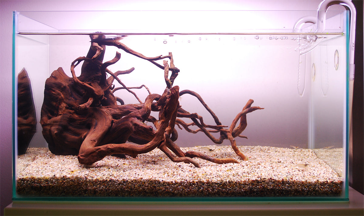 Layout 103 (28 L)