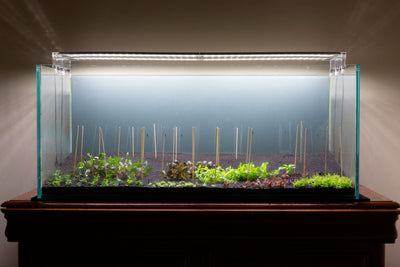 Layout 105 (300 L)