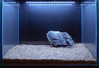 Layout 106 (57 L)