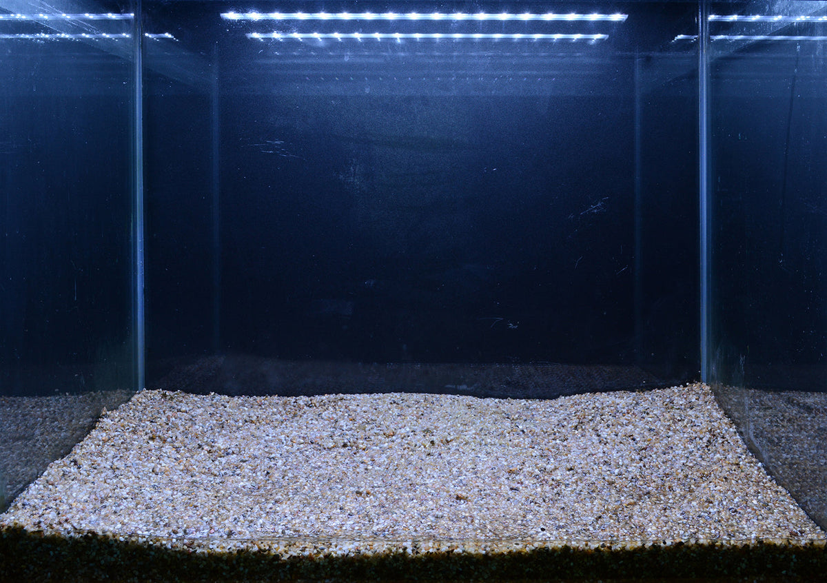 Layout 107 (57 L)