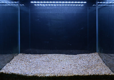 Layout 107 (57 L)