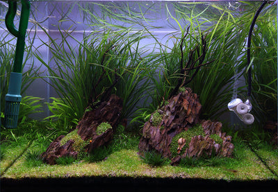 Layout 113 (75 L)