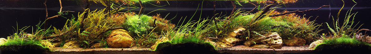 Layout 114 (270 L)
