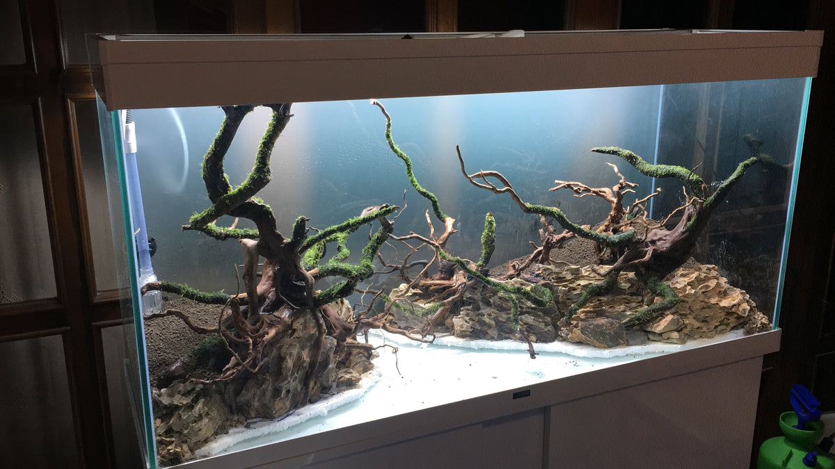 Layout 118 (210 L)