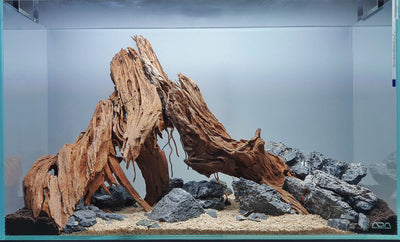 Layout 124 (54 L)