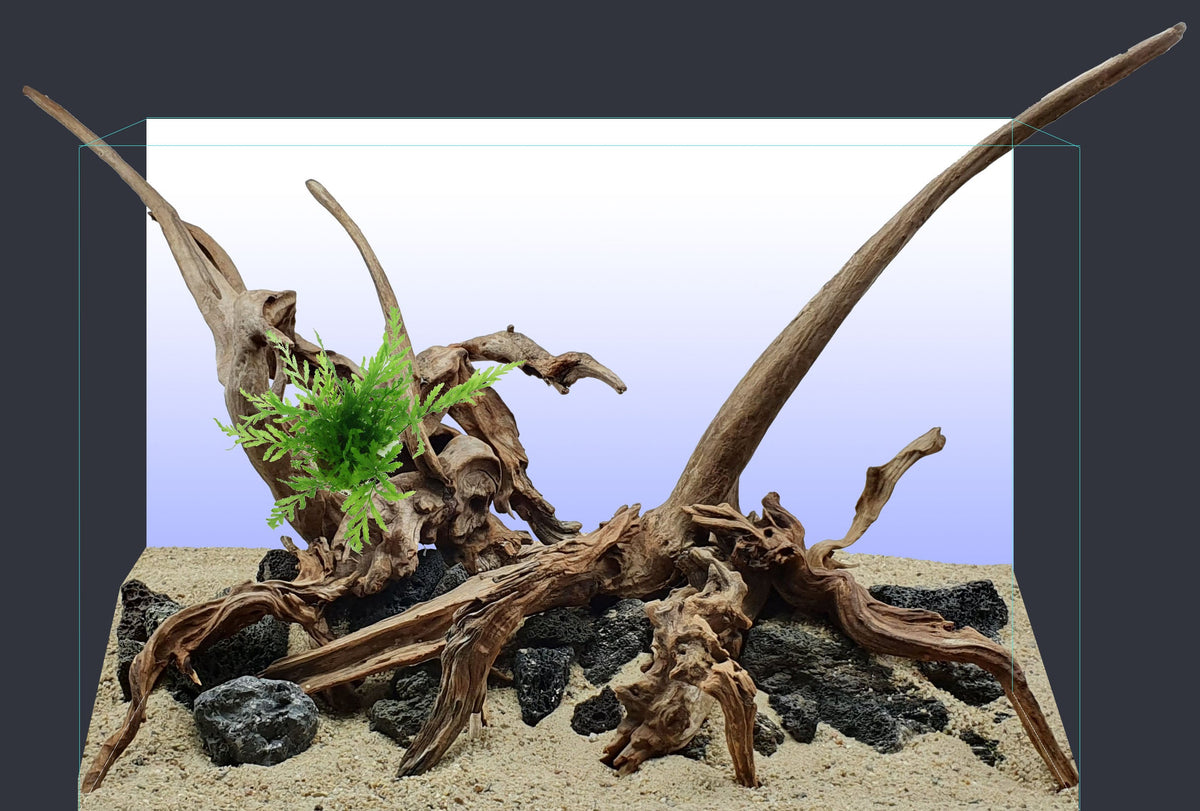 Layout 125 (54 L)