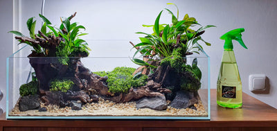 Layout 127 (54 L)