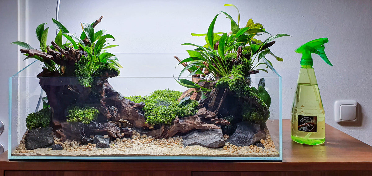 Layout 127 (54 L)