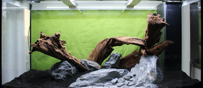 Layout 128 (350 L)