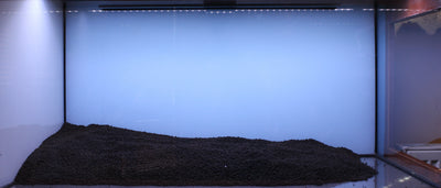 Layout 129 (272 L)