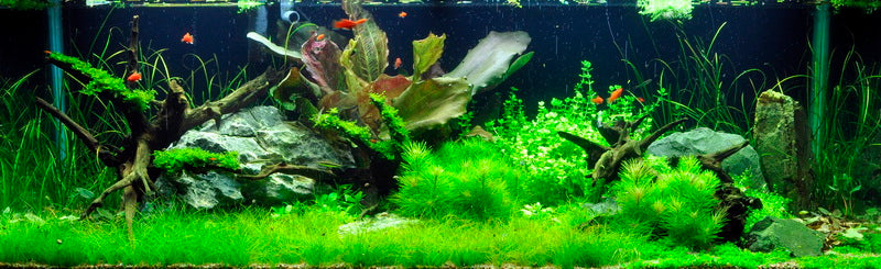 Layout 3 (297 L)