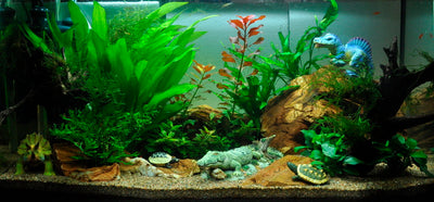 Layout 4 (112 L)