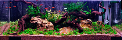 Layout 7 (270 L)