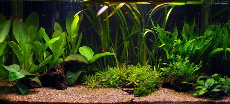 Layout 16 (128 L)