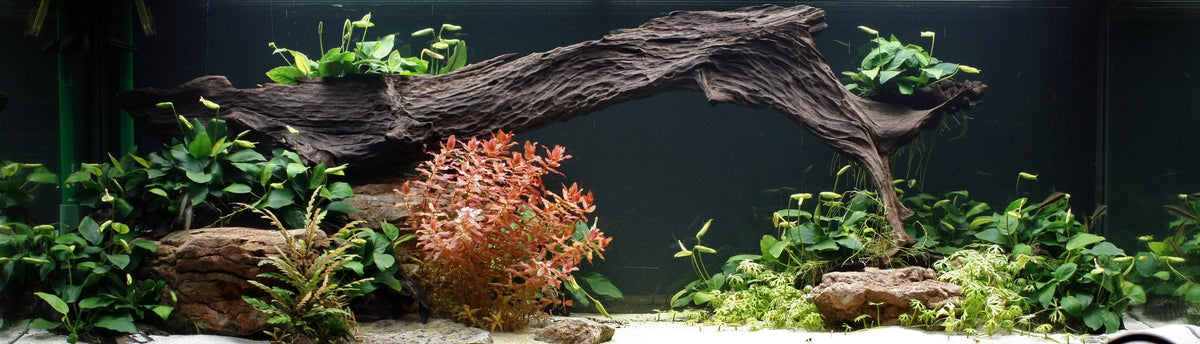 Layout 27 (350 L)