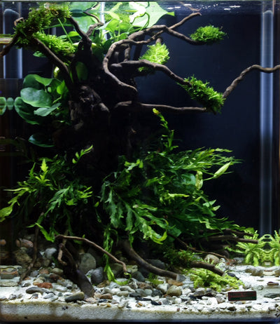 Layout 29 (30 L)