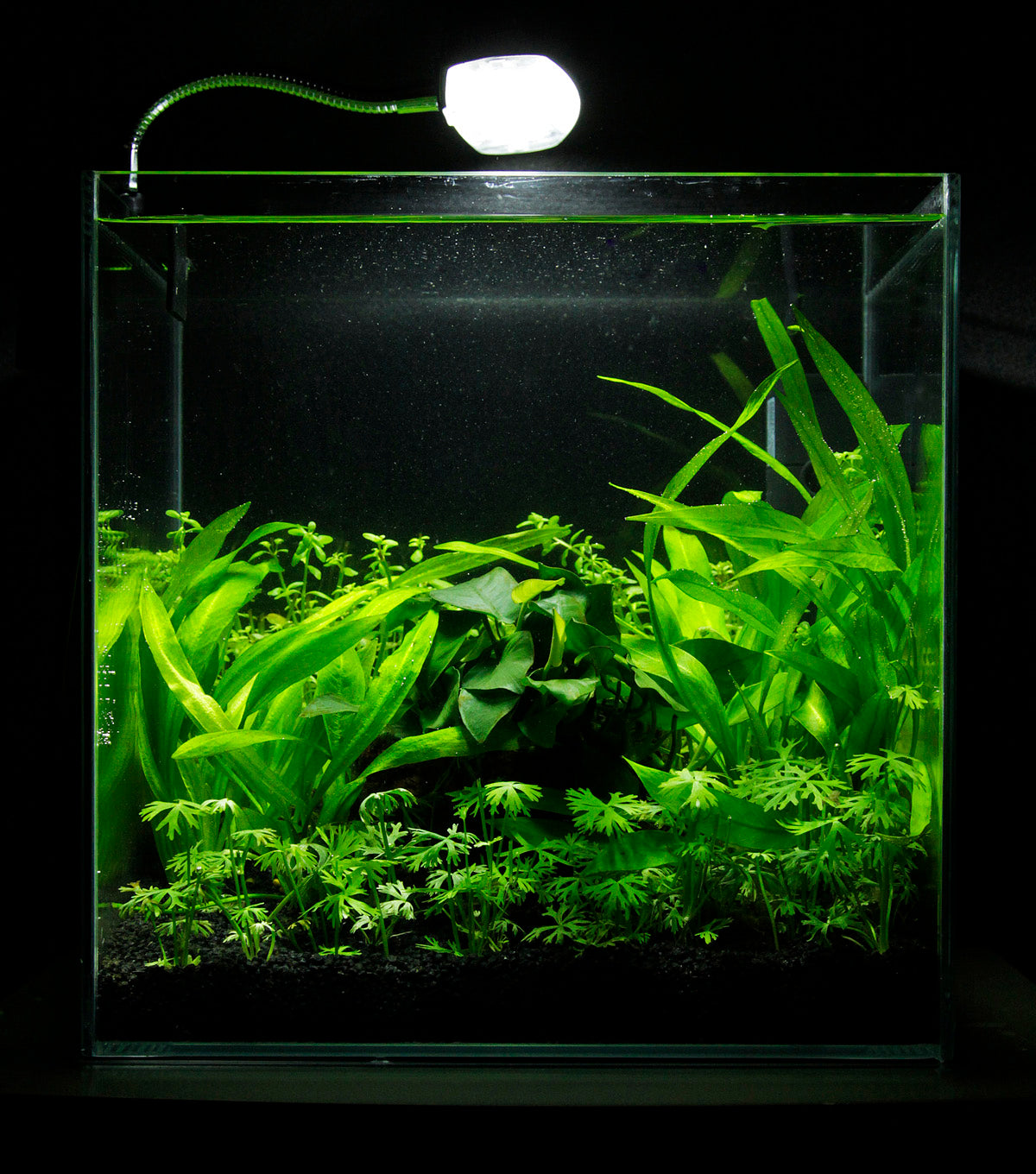 Layout 30 (27 L)