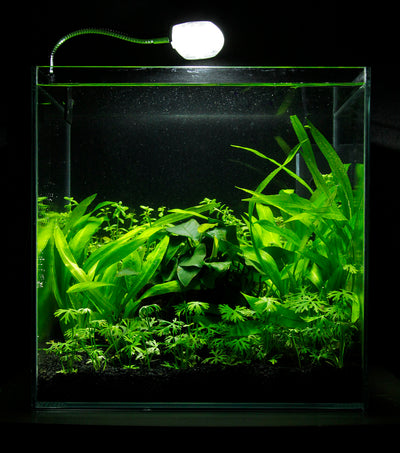 Layout 30 (27 L)