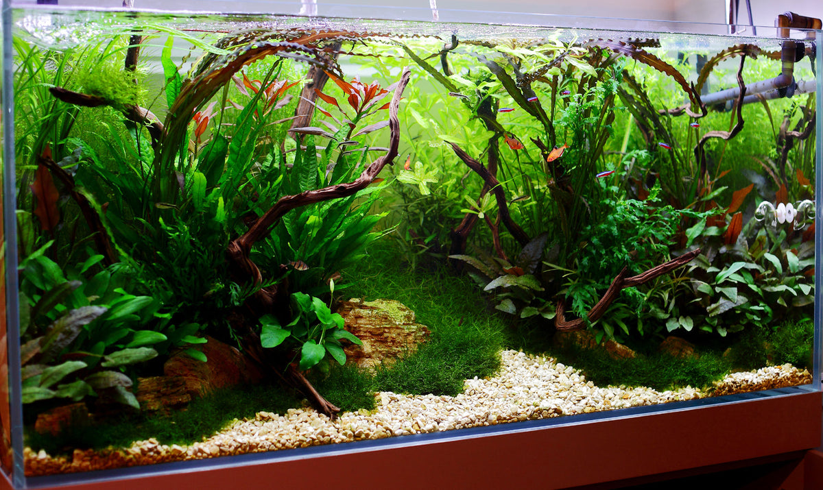 Layout 32 (360 L)