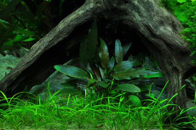 Layout 34 (140 L)