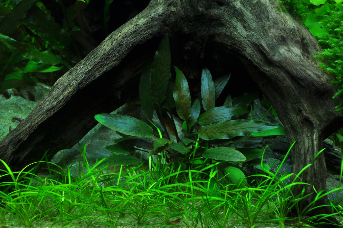 Layout 34 (140 L)
