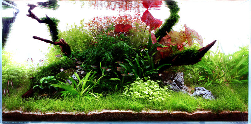 Layout 45 (180 L)