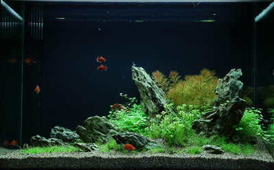 Layout 49 (100 L)