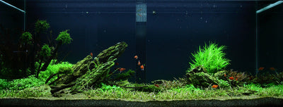 Layout 50 (300 L)