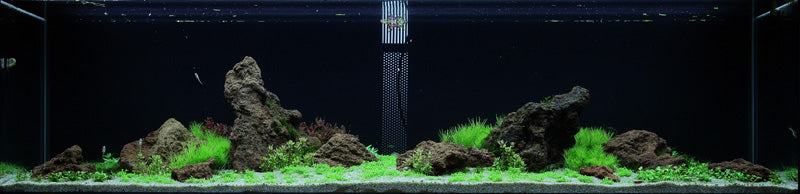 Layout 53 (225 L)