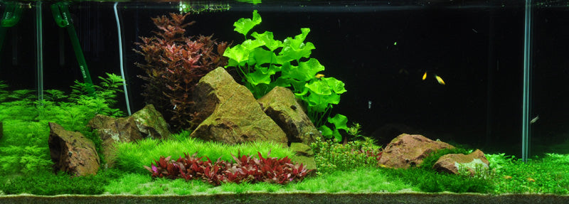 Layout 54 (270 L)