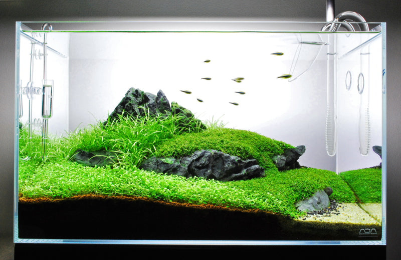 Layout 59 (60 L)