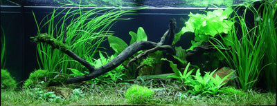 Layout 61 (180 L)