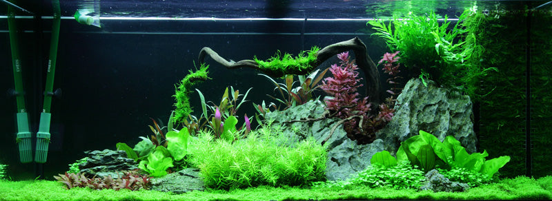 Layout 62 (240 L)