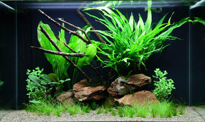 Layout 63 (100 L)
