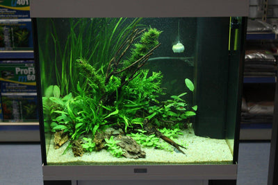Layout 68 (120 L)