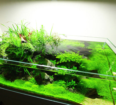 Layout 73 (122 L)
