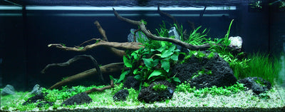 Layout 78 (180 L)