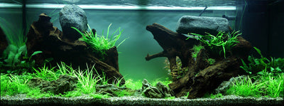 Layout 80 (180 L)