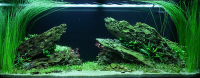 Layout 82 (180 L)
