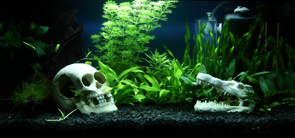 Layout 90 (54 L)