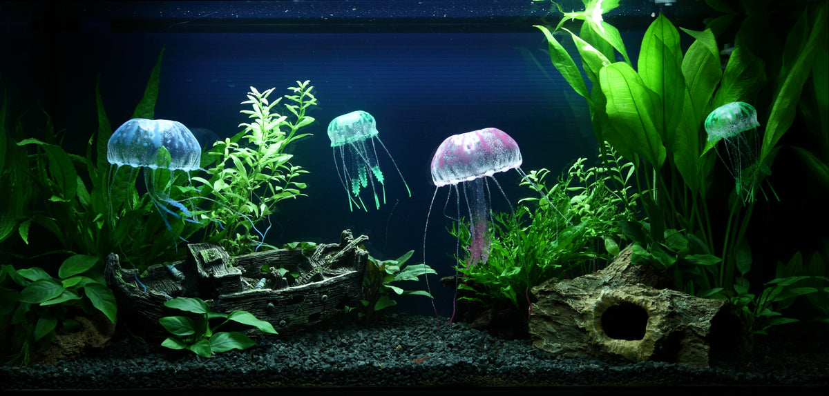 Layout 91 (96 L)