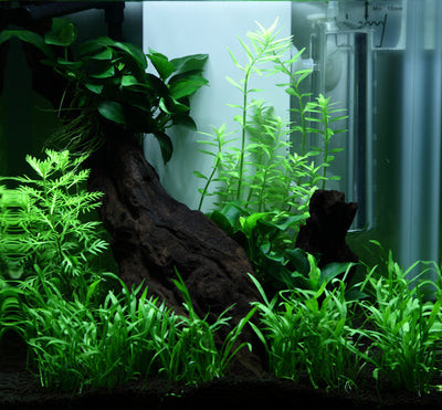 Layout 92 (15 L)